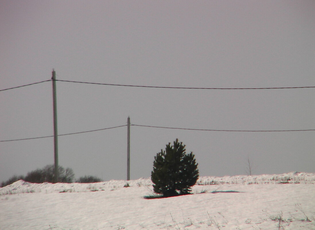 без названия - fogmeadowww m