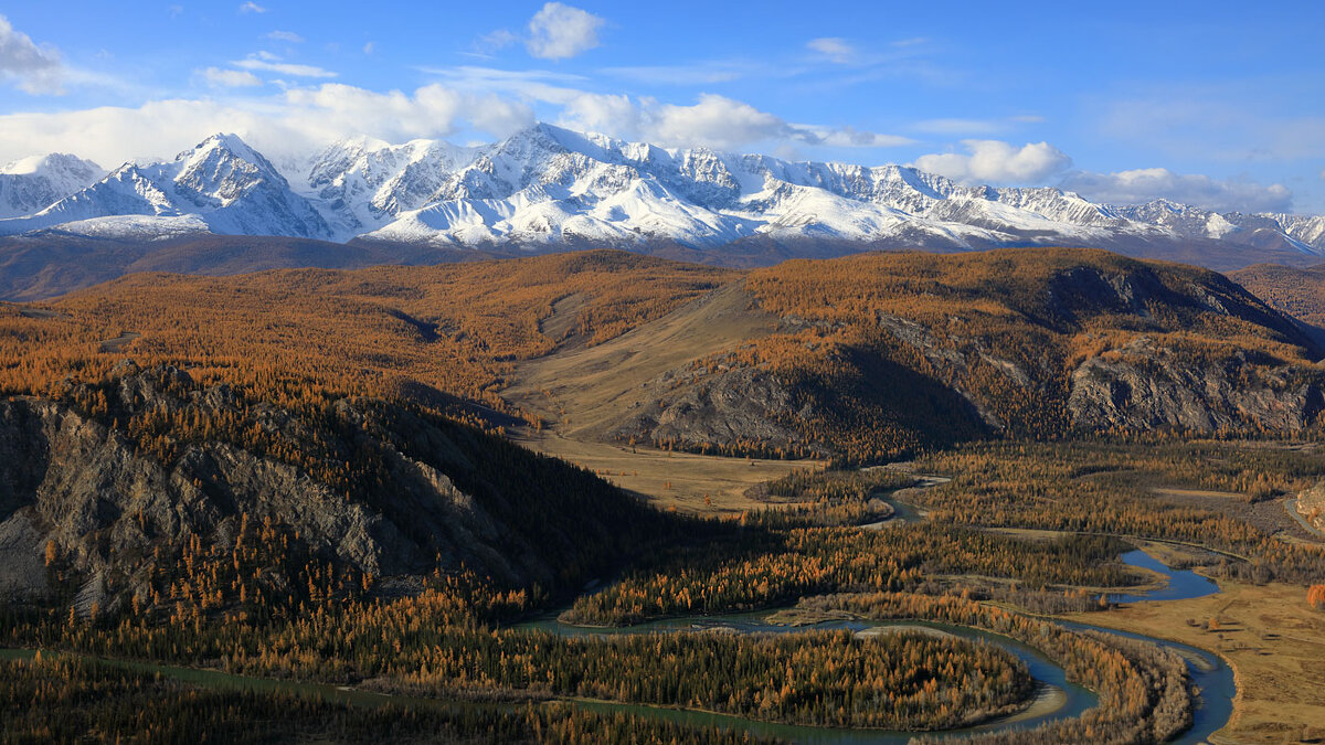 ***** - владимир 