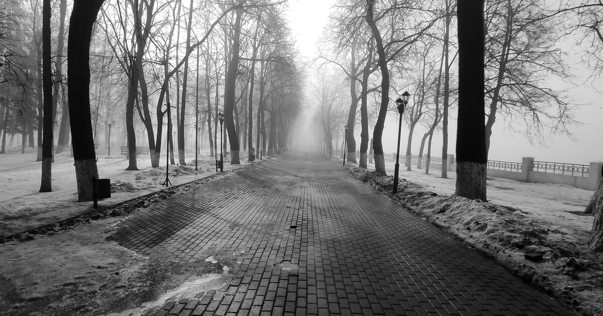 Весеннее утро в парке. Туман - Вячеслав Владимирович