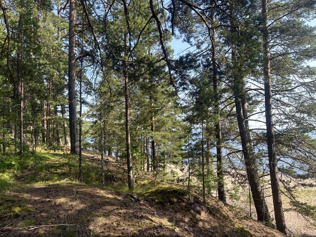 Тихий, уединенный остров Коневец... - Наталия Павлова Тихий, уединенный остров Коневец... - Наталия Павлова