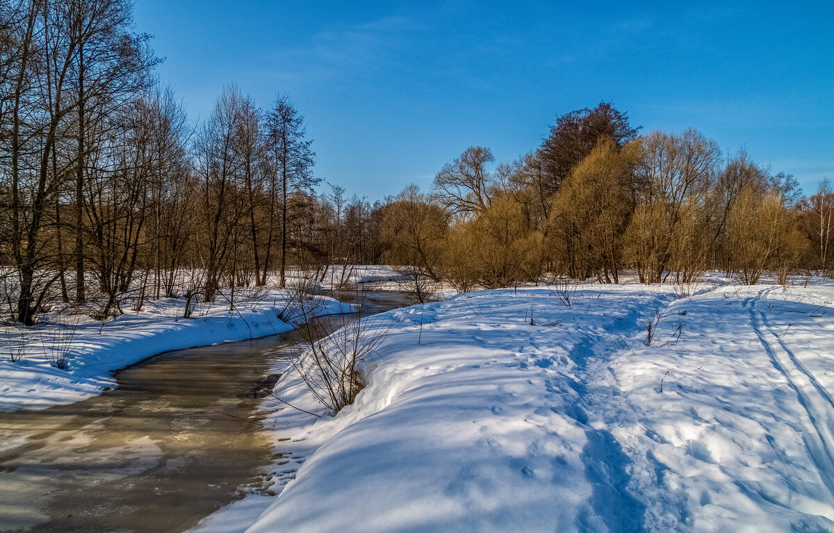 Середина Марта - Андрей Дворников