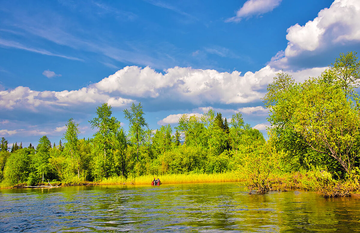 Солнечный весенний день. - юрий Амосов Солнечный весенний день. - юрий Амосов