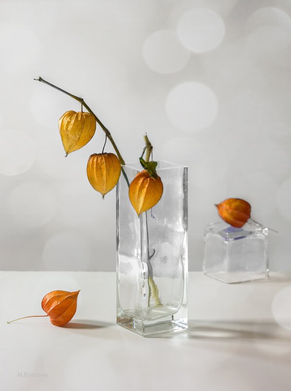 С физалисом - Нина Кутина