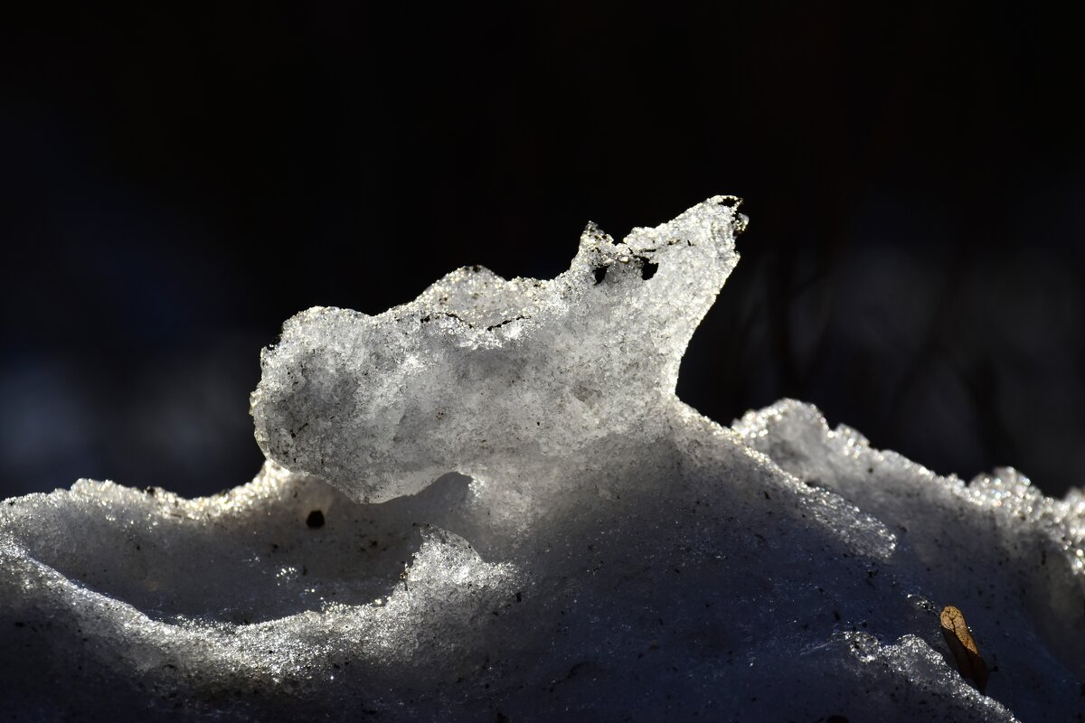 Таяние - Наталья Вязигина