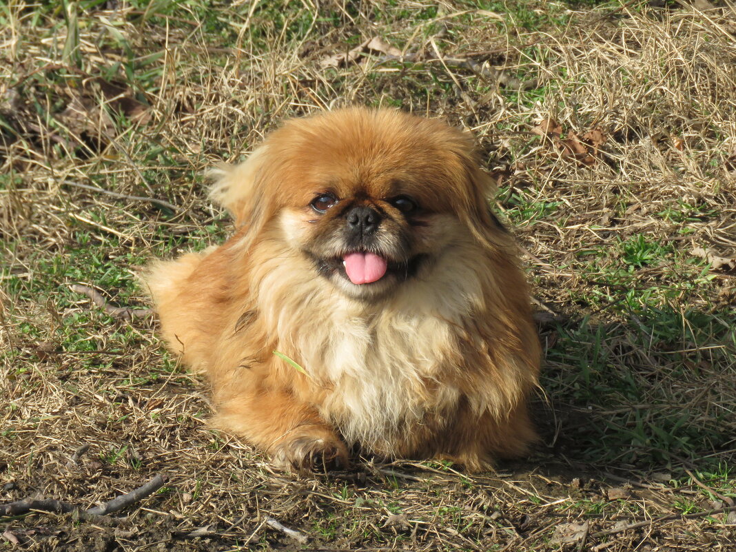 Счастье - Николай Я