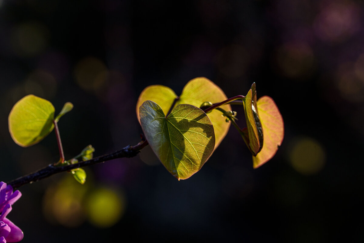 * - Осень * - Осень