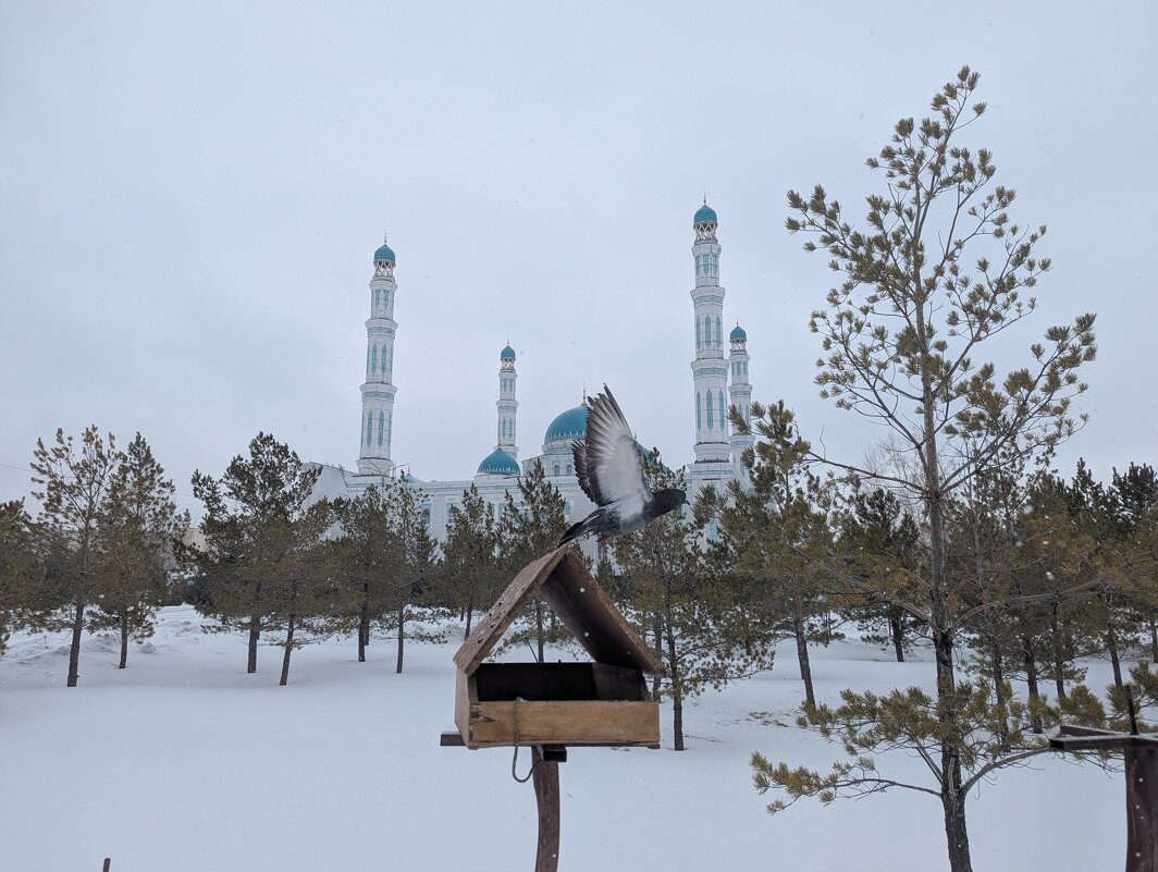 Март - Андрей Хлопонин