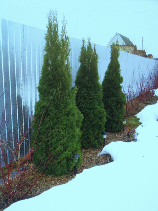 На солнышке тает снег - Людмила Смородинская
