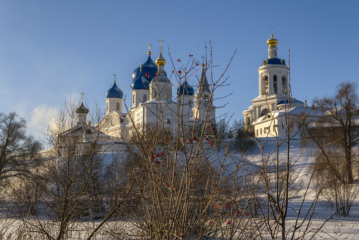 Красные ягоды - Сергей Цветков Красные ягоды - Сергей Цветков