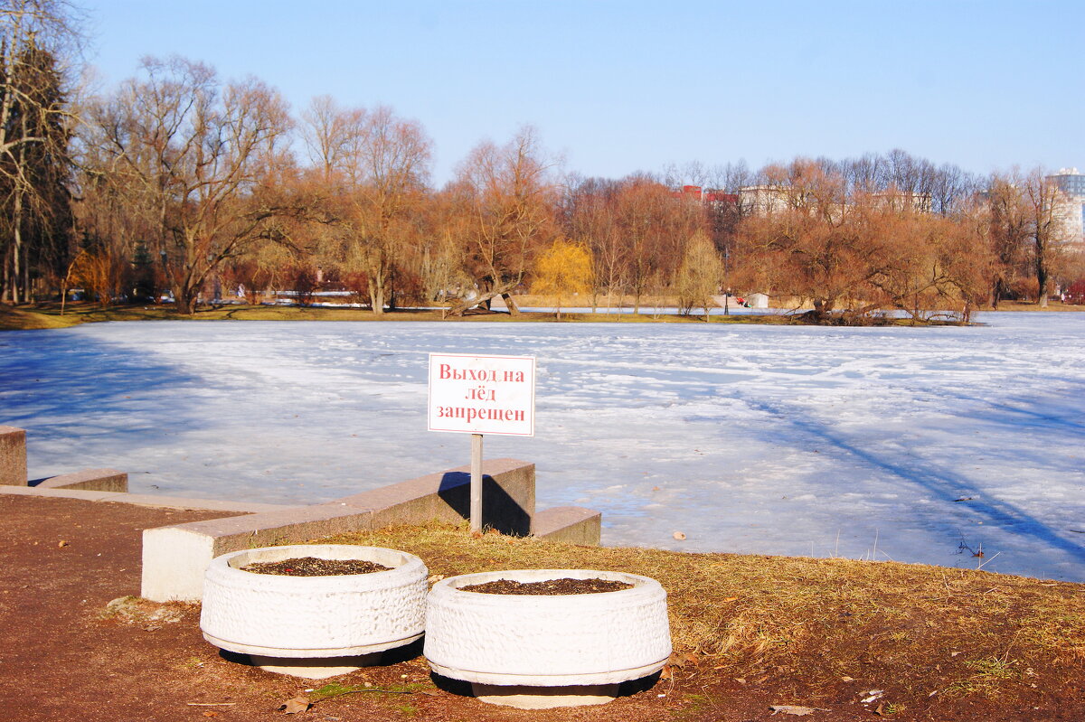 ВЕСЕННЕЕ - Виктор Никитенко