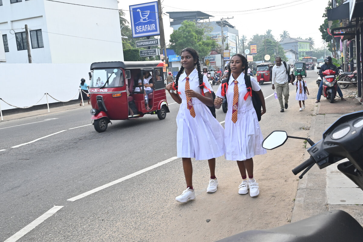Шри-Ланка. Люди, лица, города... - Александр Беляков