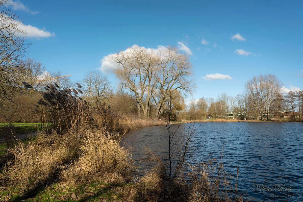 В ожидании весны... - Николай Гирш