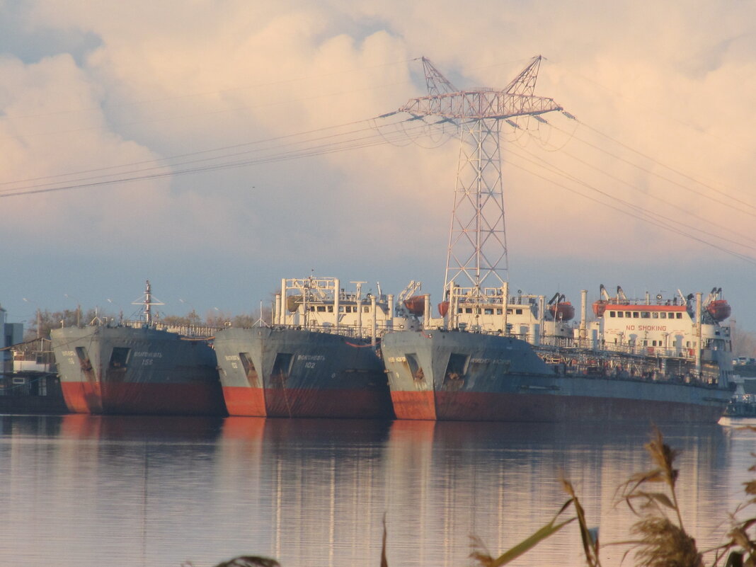 ........ - Елена Шаламова