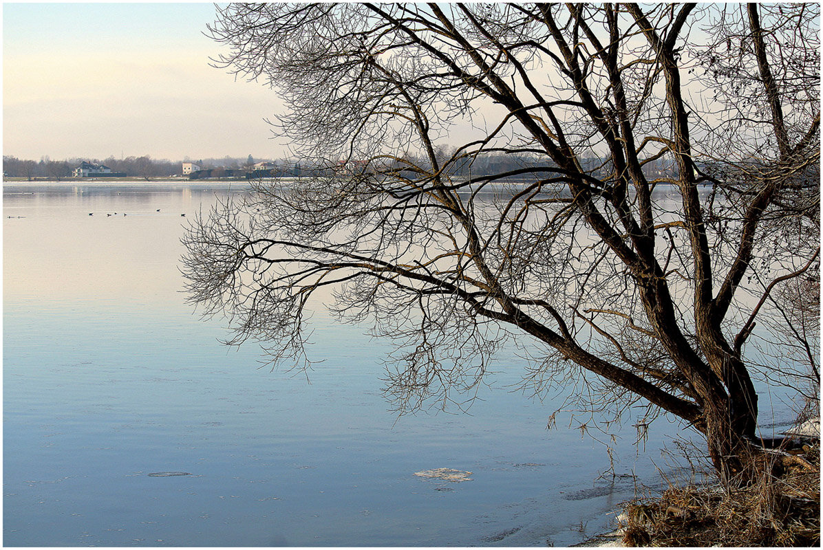 *** - Aleksandr Gal *** - Aleksandr Gal