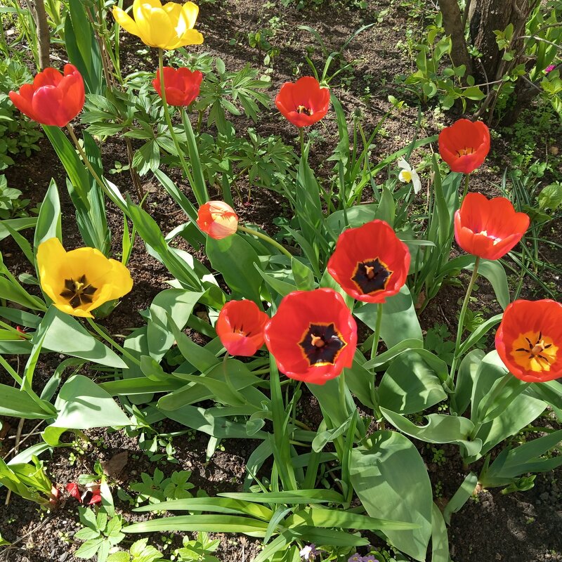 Весеннее - Елена Семигина