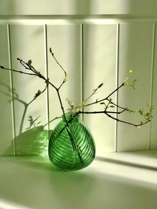 Доброе утро,весна!) - Альбина 