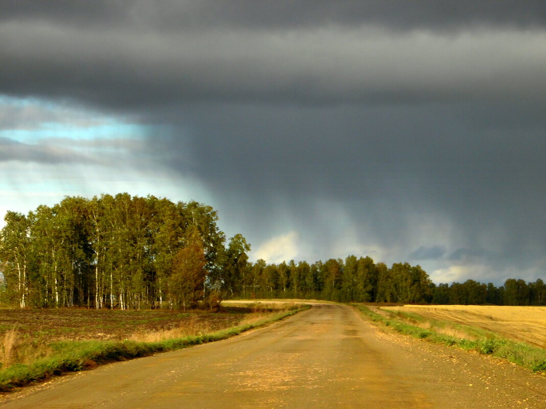 Туча дождевая. - nadyasilyuk Вознюк
