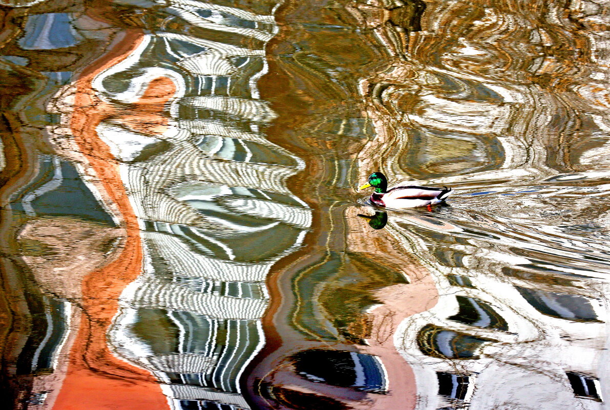 Озерковская наб - Михаил Бибичков Озерковская наб - Михаил Бибичков