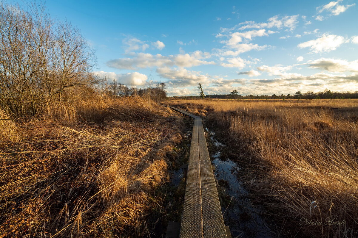 Экотропа... - Николай Гирш
