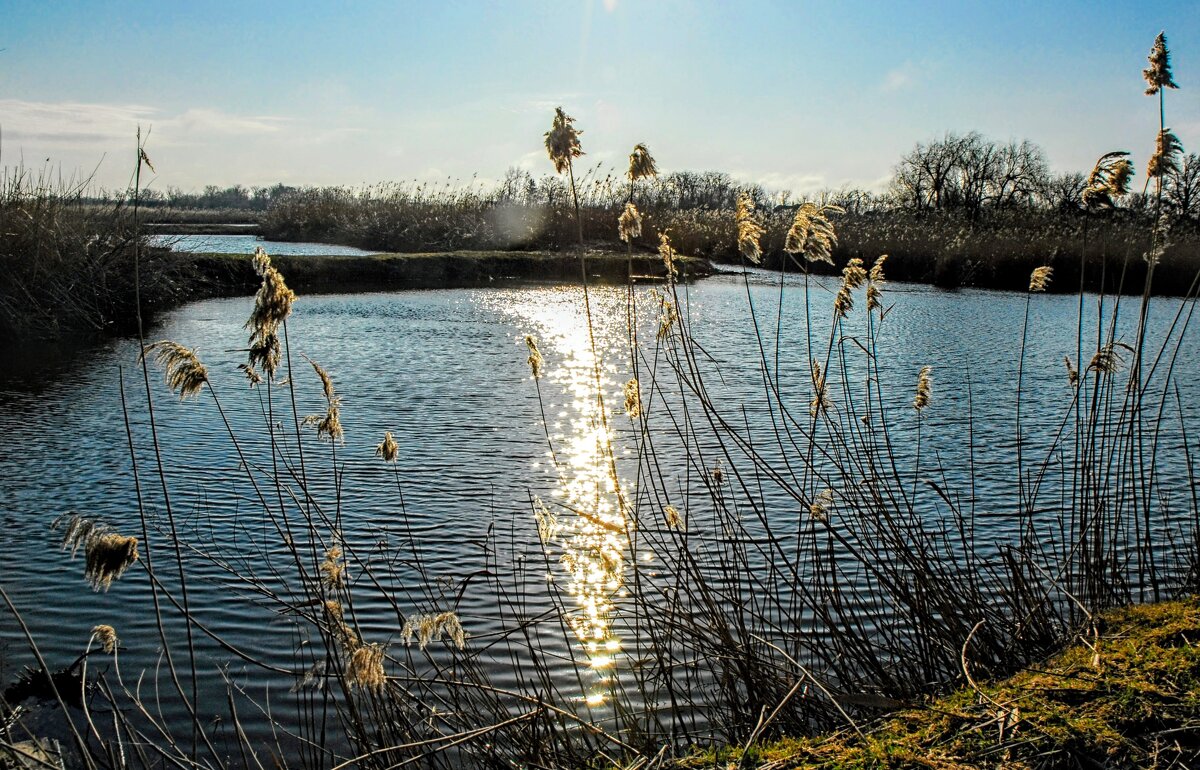 Весна. - Владимир 