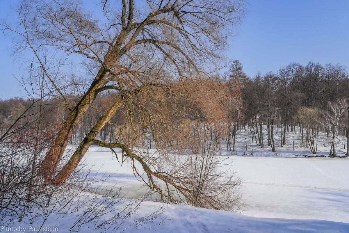 Март в Царицыно... - Владимир Жданов