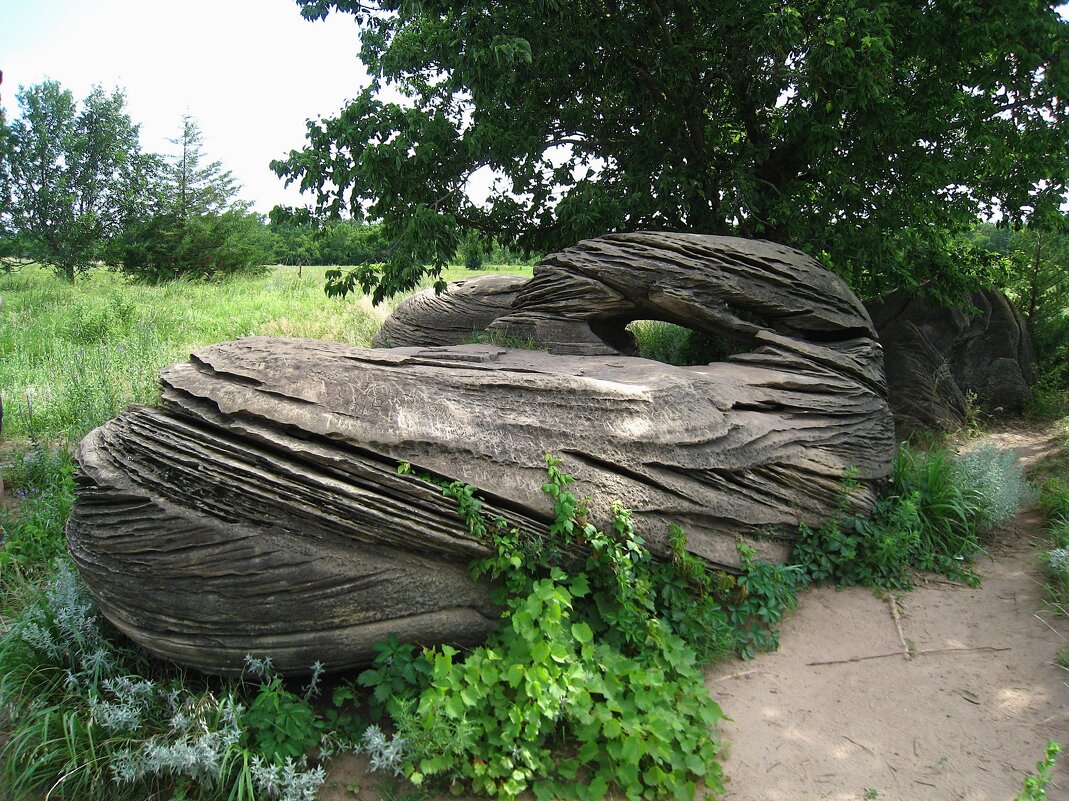 Необыкновенный и загадочный глазастый камушек. - unix (Илья Утропов) Необыкновенный и загадочный глазастый камушек. - unix (Илья Утропов)