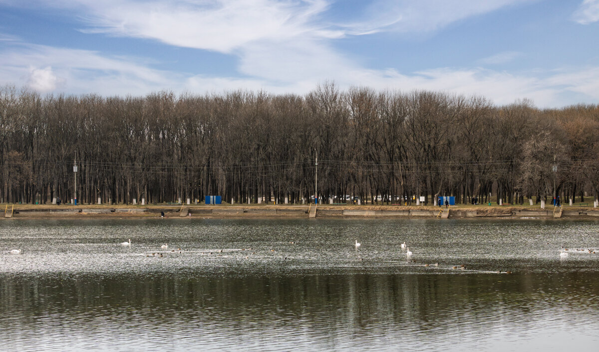 Городское водохранилище - Игорь Сикорский