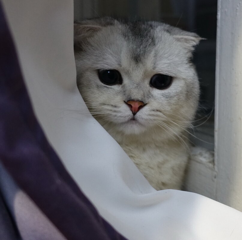 Рассекретили). - Марина Леонидовна