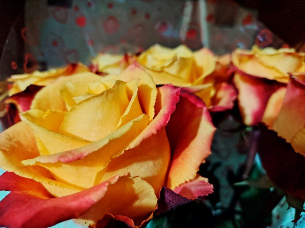 Розы на 8 марта - Наталья (ShadeNataly) Мельник