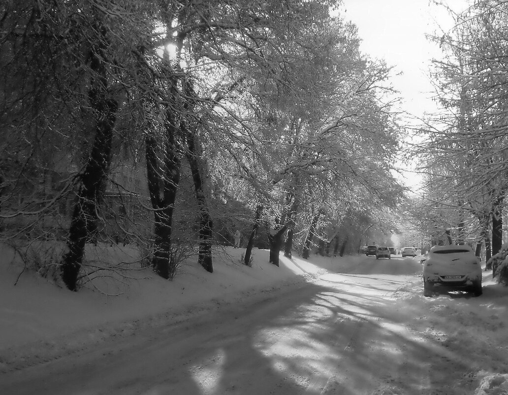 Прогулка городом - Роман Савоцкий