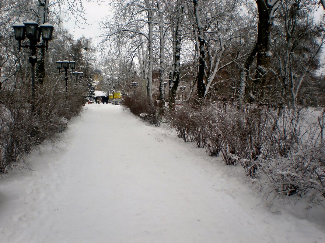 Прогулка городом - Роман Савоцкий