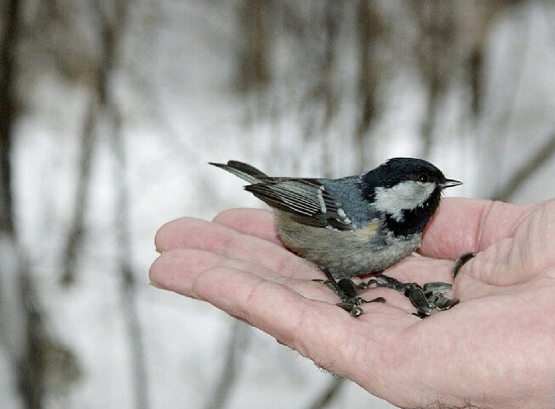 А здесь уютненько! - Галина Нестратова