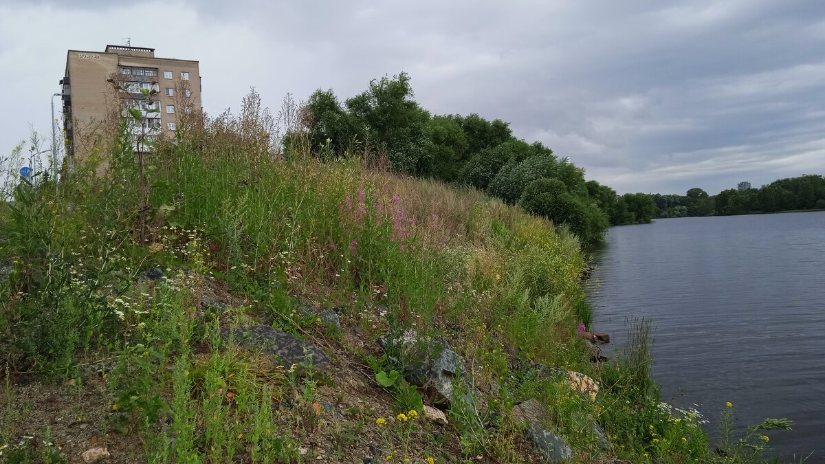 мой Екатеринбург - Елена Шаламова