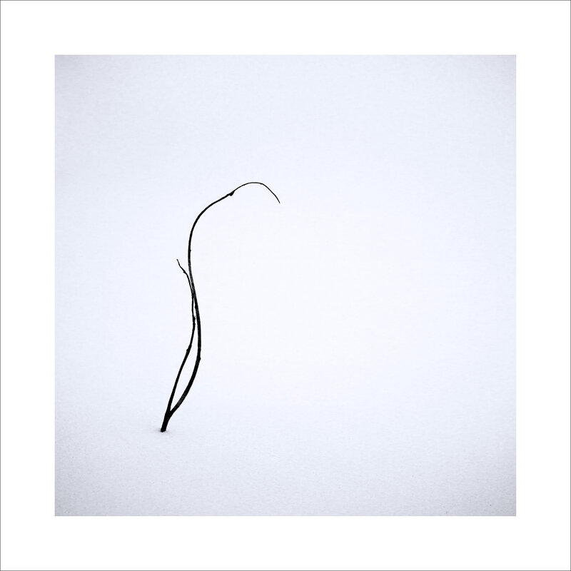 * - Александр Иванов