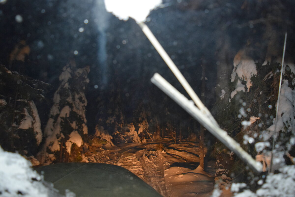 В свете фар. - ВикТор Быстров