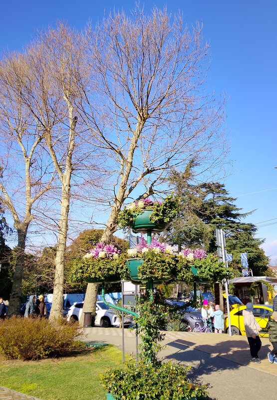 ПОРТ - Tata Wolf