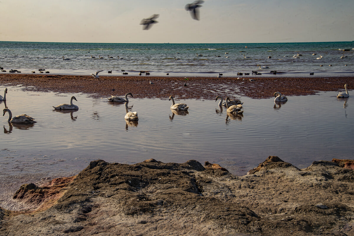 Каспий - Анатолий Чикчирный