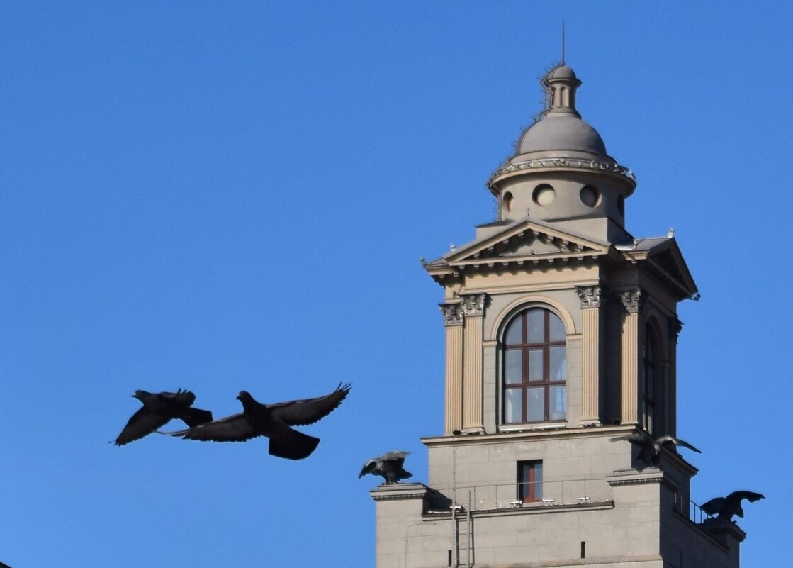 Полетели! - Надежда 