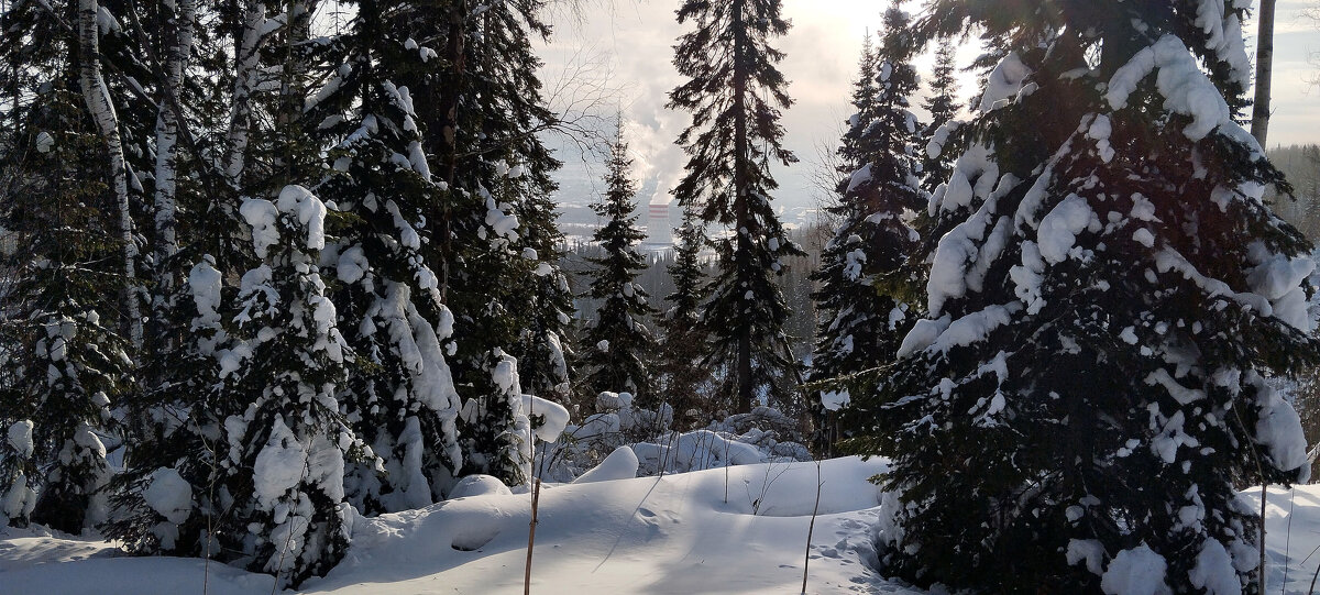 Зима - Радмир Арсеньев