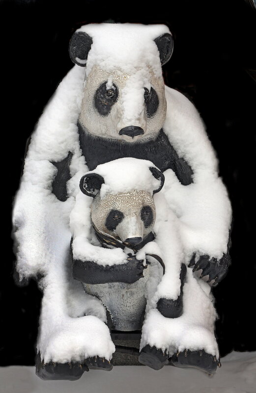 зоопарк зимой - Михаил Бибичков