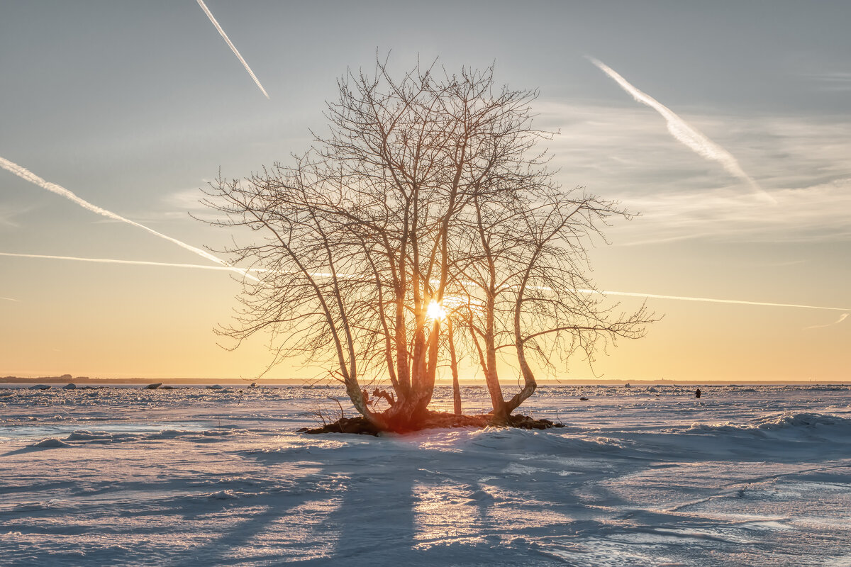 Март - Владимир Колесников