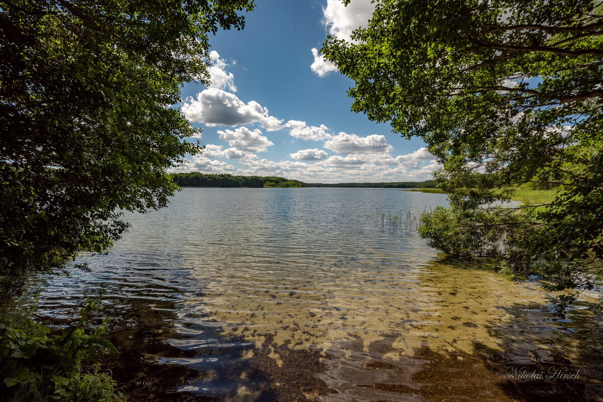 Чистая вода... - Николай Гирш