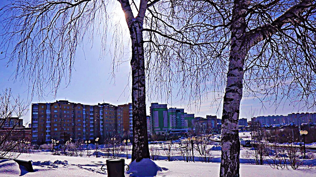 Март...Весеннее солнце за березами! - Владимир 