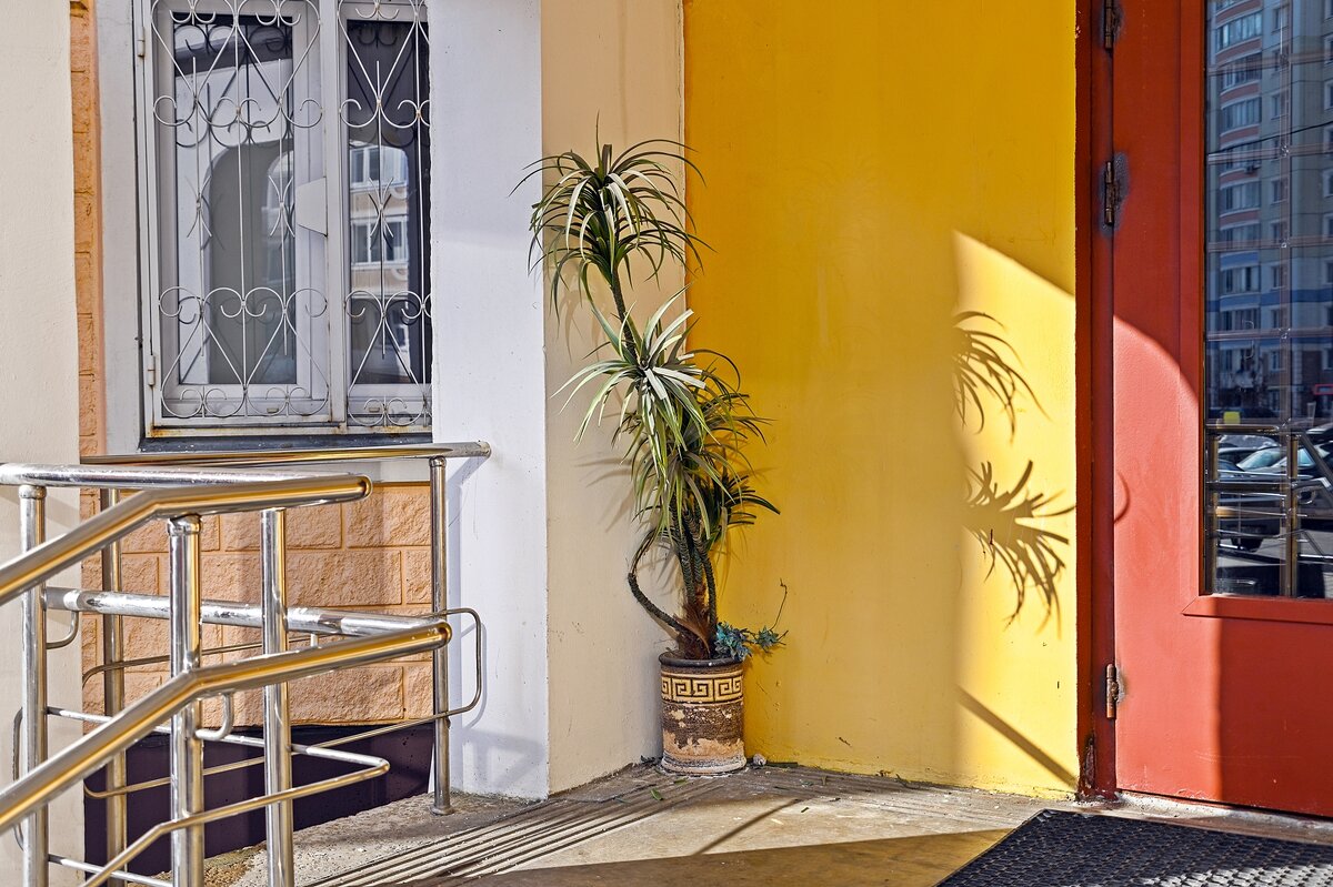 В Москве пальмы зацвели - Валерий Иванович