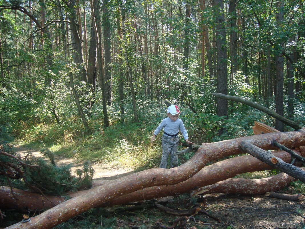 сейчас растащу!.. - Галина Флора