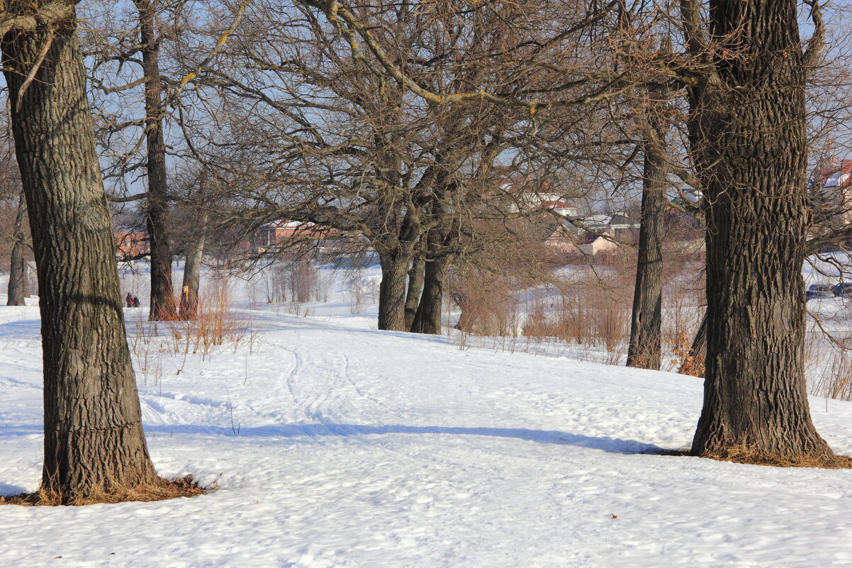 Перезимовали - Евгений Корьевщиков