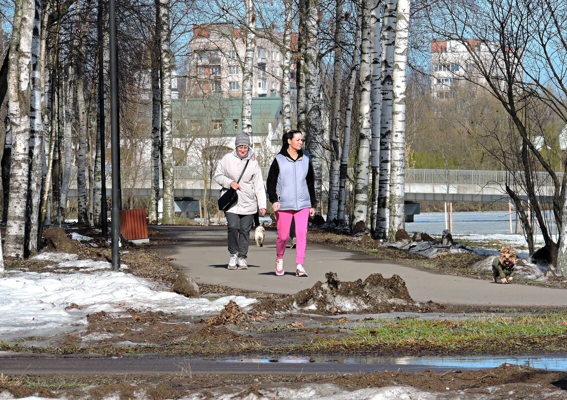 Мартовские прогулки в парке - Мария Васильева