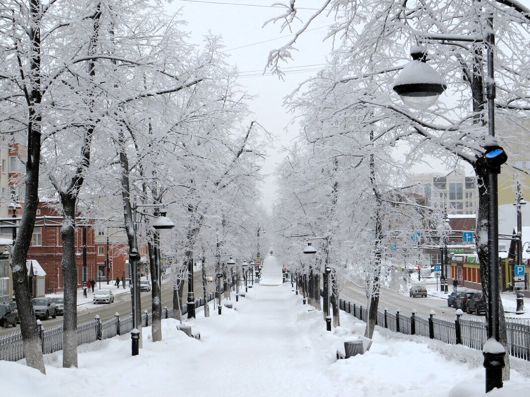 *** - Лариса С.