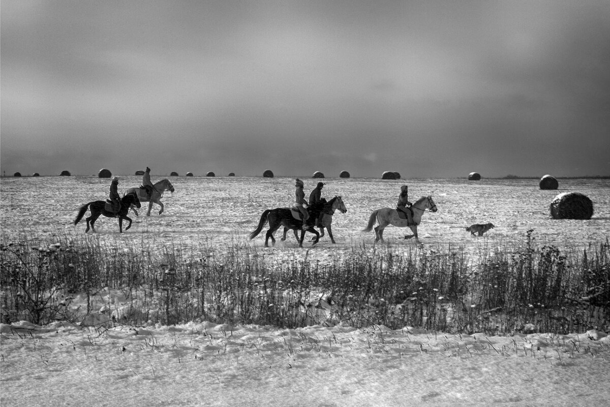 С ветерком - Владимир Гришин