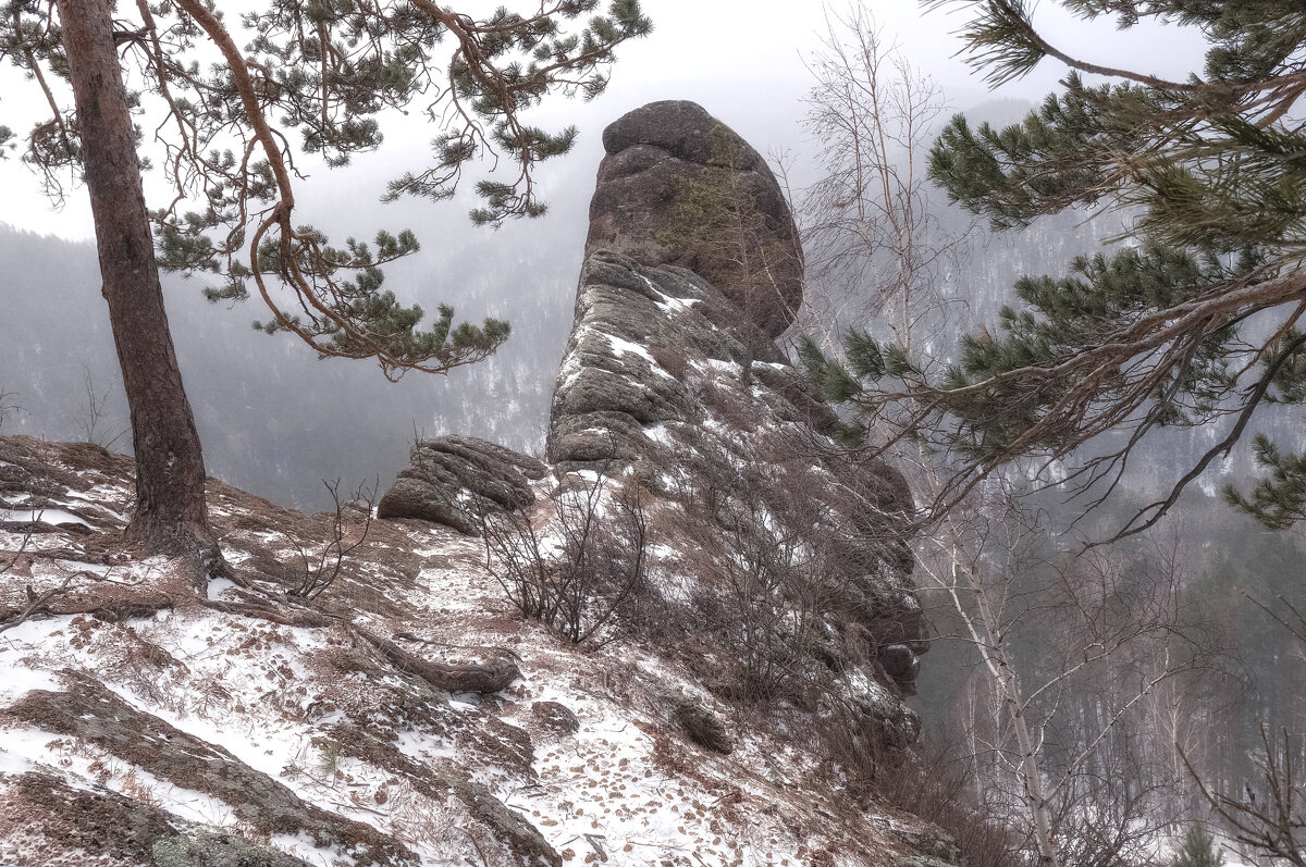 Тотэм - Марина Фомина.